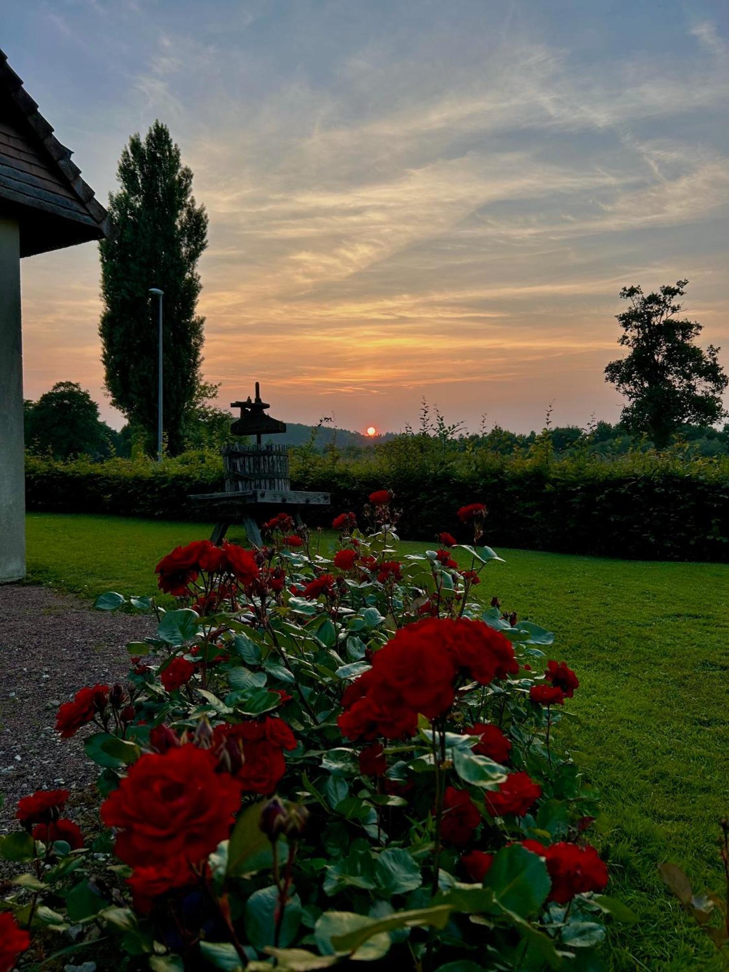 D'andaines Hotel La Ferte-Mace